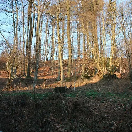 Lejlighed Haus Sonnenwinkel *